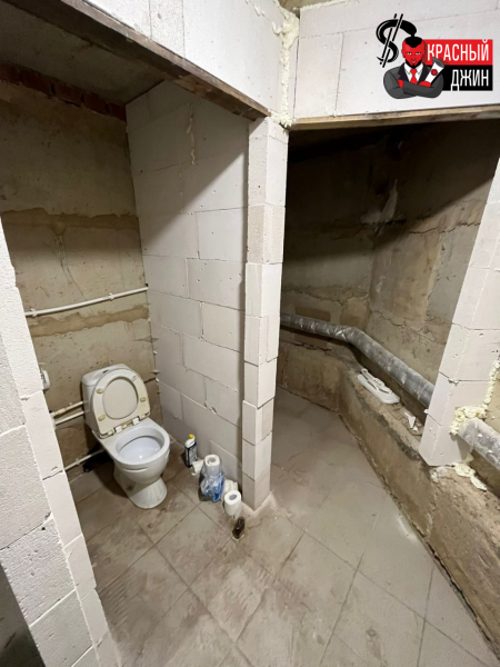 Коммерческое помещение 205,1 м2 Москва, п. Рязановское, с. Остафьево