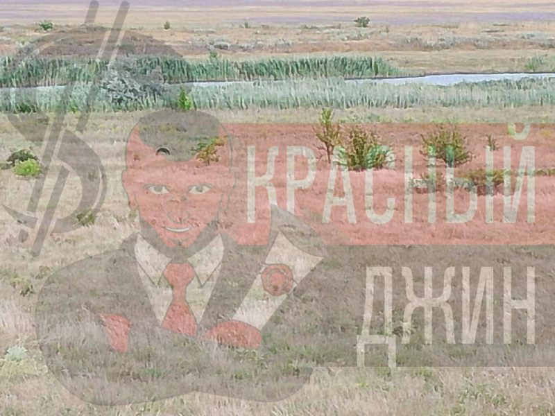 Земельные участки в Ростовской области