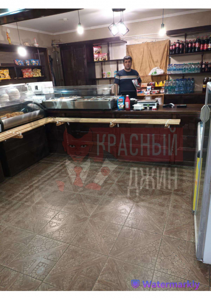 Коммерция Кафе 224,7 кв м + 6,9 соток, ХМАО, г. Лянтор