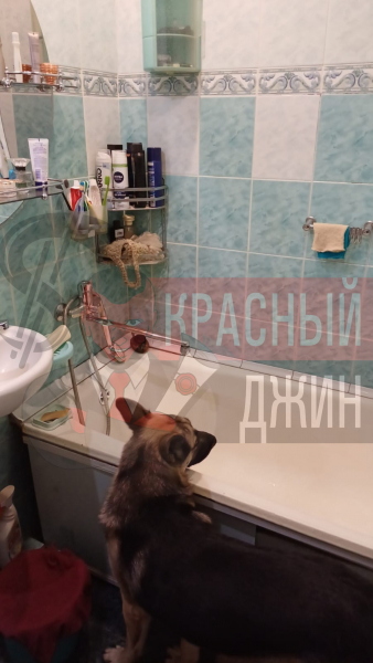 Квартира 54,7 кв.м г. Брянск