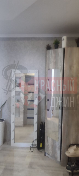 Квартира 55,1 кв.м Пензенская область