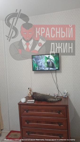 1/3 доли в трехкомнатной квартире 67, 6 м. кв. в городе Сочи