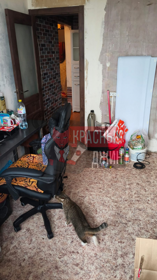 1/2 доля квартиры 51,3 кв.м г. Москва